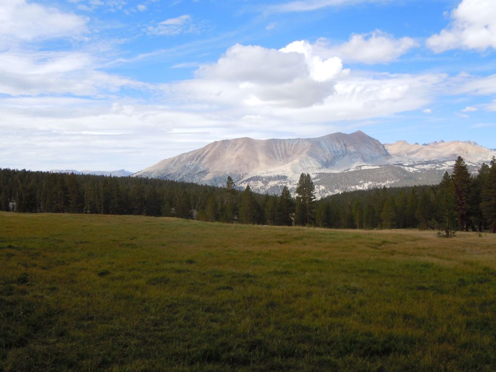 High Sierra Trail - Crabtree Meadow