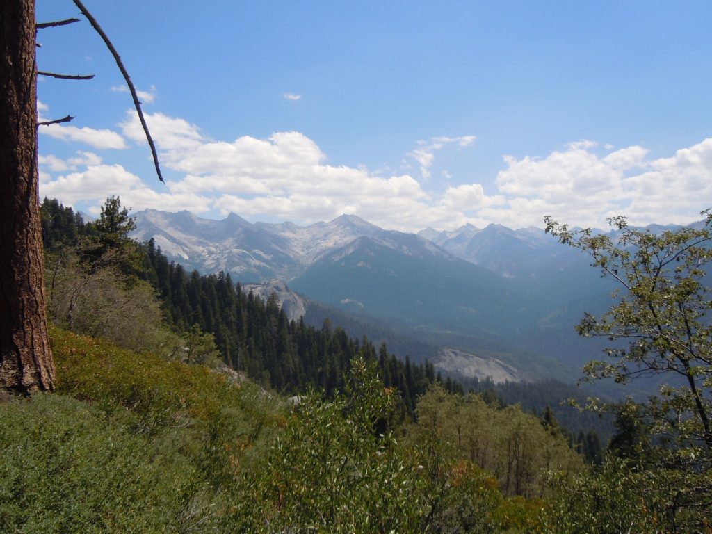 High Sierra Trail Bear Paw Meadow