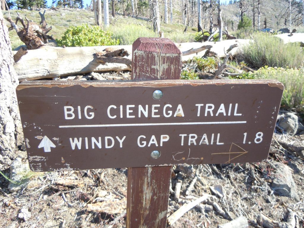 Islip Ridge and Big Cienega trail crossing