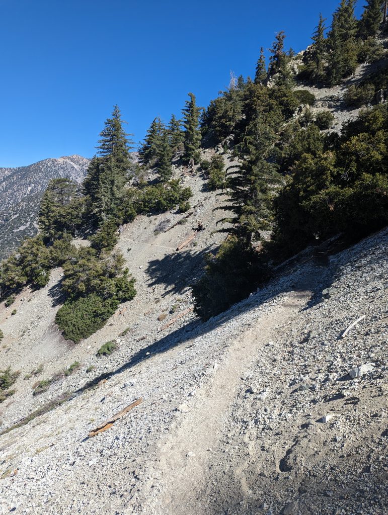 Chapman Trail (another fallen tree)