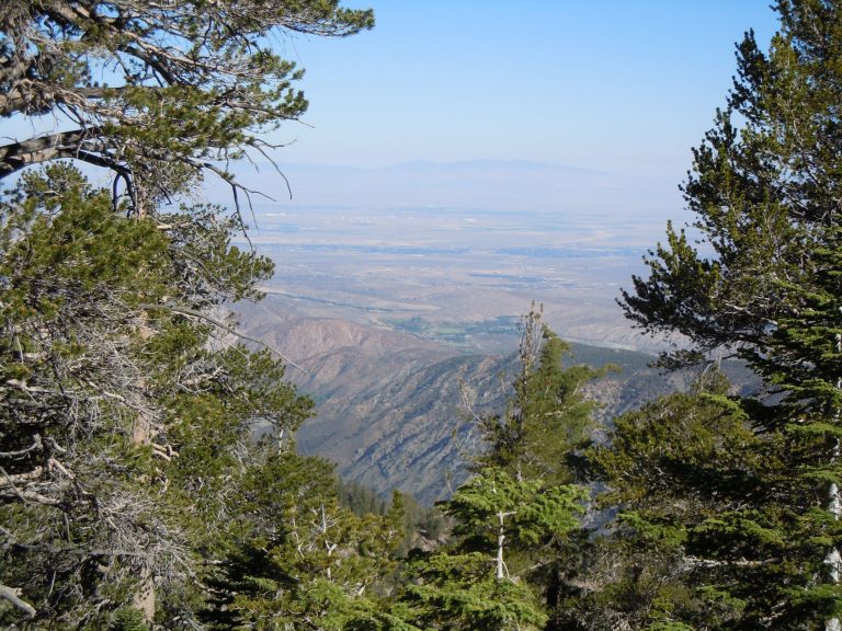 Hiking Mt. Baden Powell via Vincent Gap