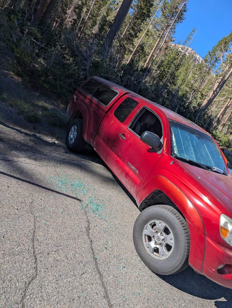 Bear damage to parked vehicle