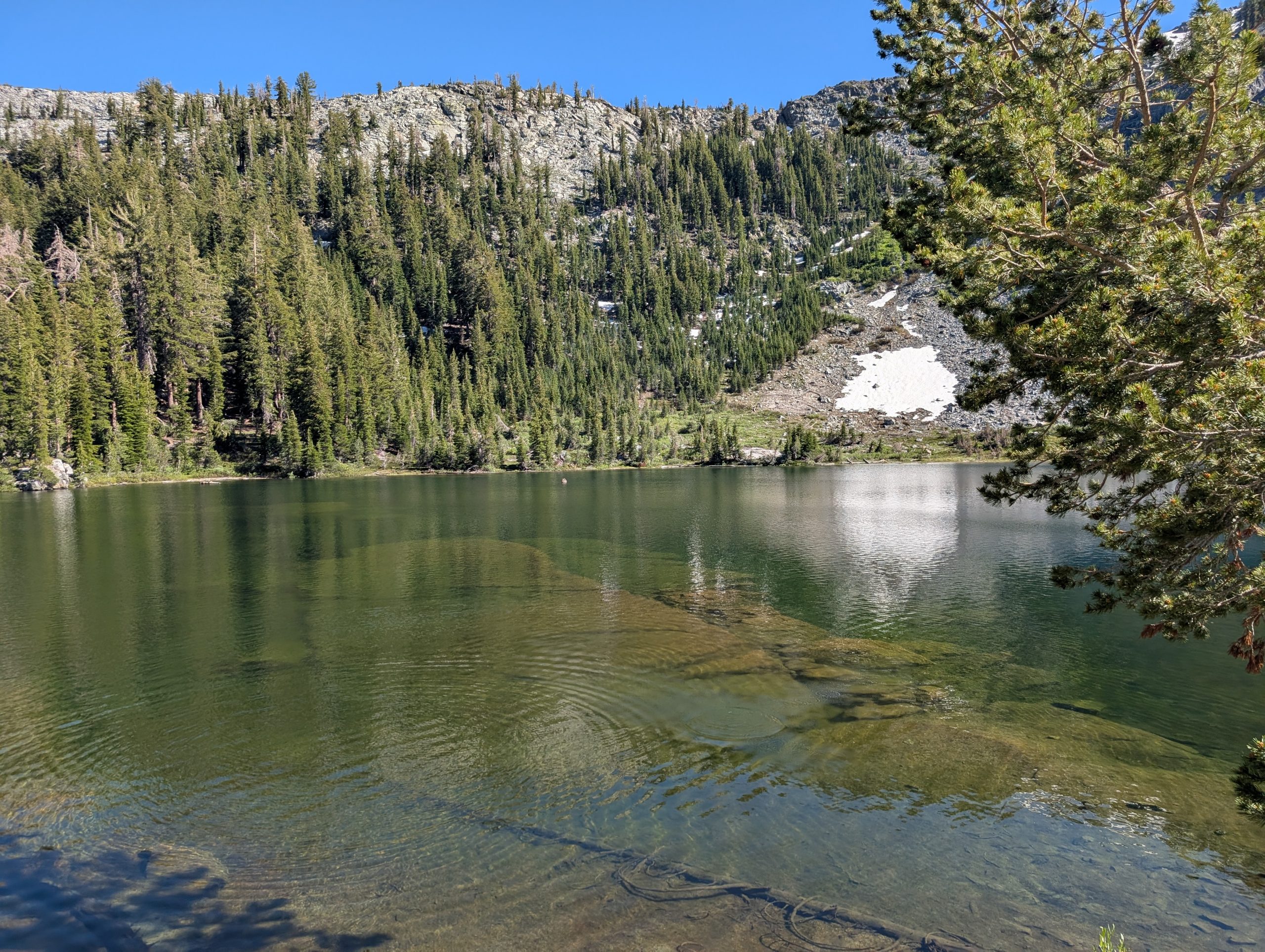 Fern Lake